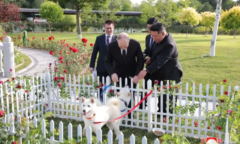 North Korea&rsquo;s Kim gives pair of dogs to Putin