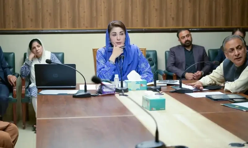 Several civil servants face axe as Punjab approves restructuring plan