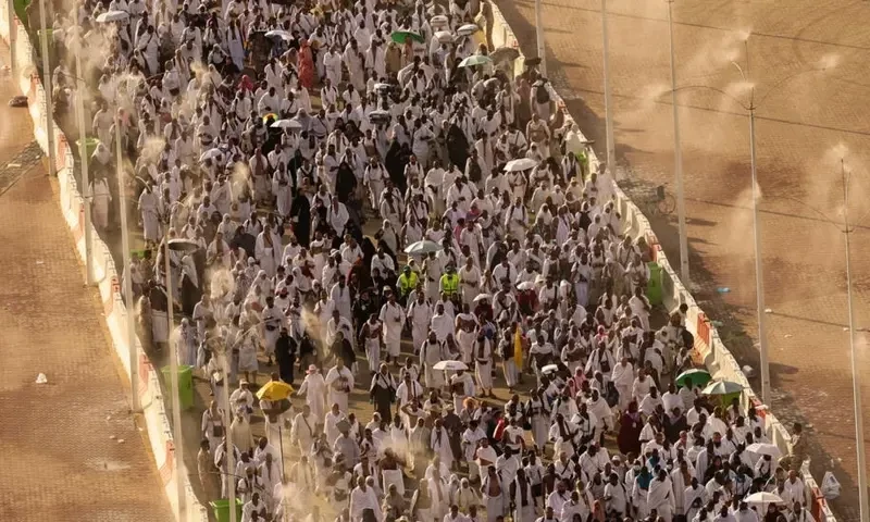 &lsquo;Saudi state did not fail&rsquo; after hundreds dead during Hajj: official