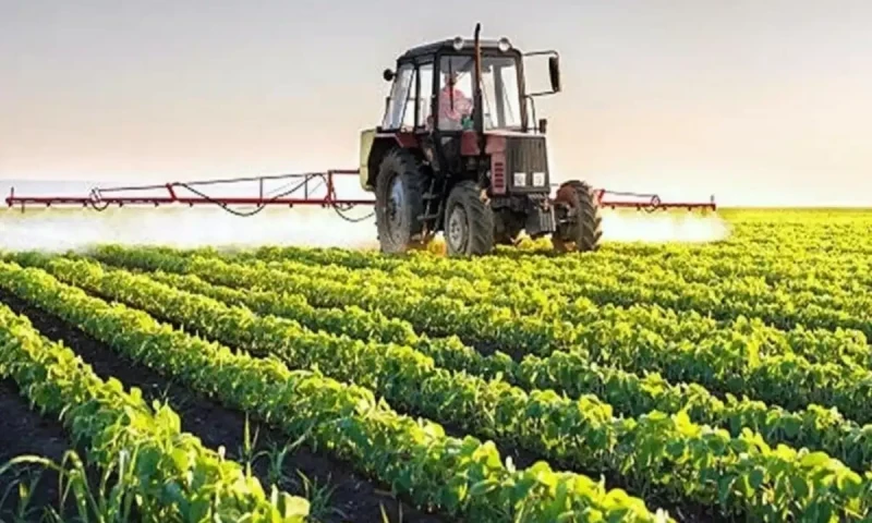 Temperatures lowered by scattered rains in some parts of country