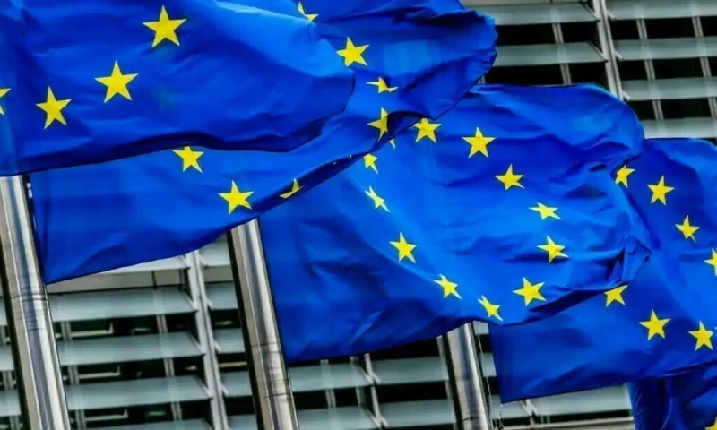 EU tariffs on China not a &lsquo;punishment&rsquo;, says German economy minister