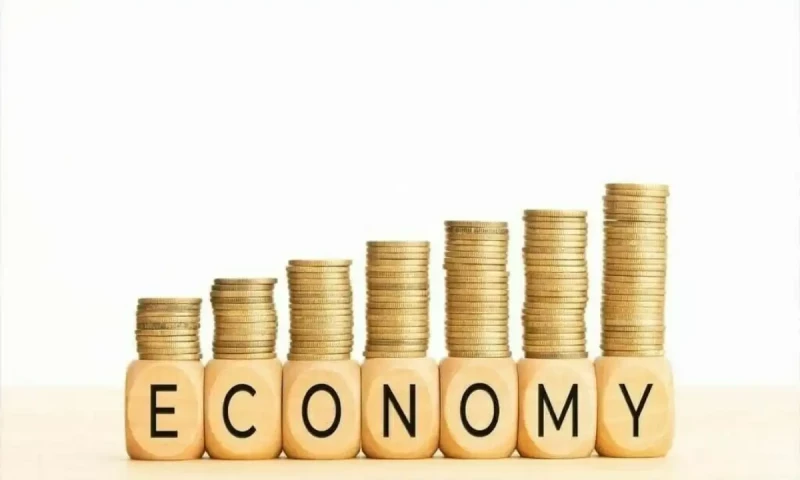 Indonesia economy fundamentally strong, says senior minister