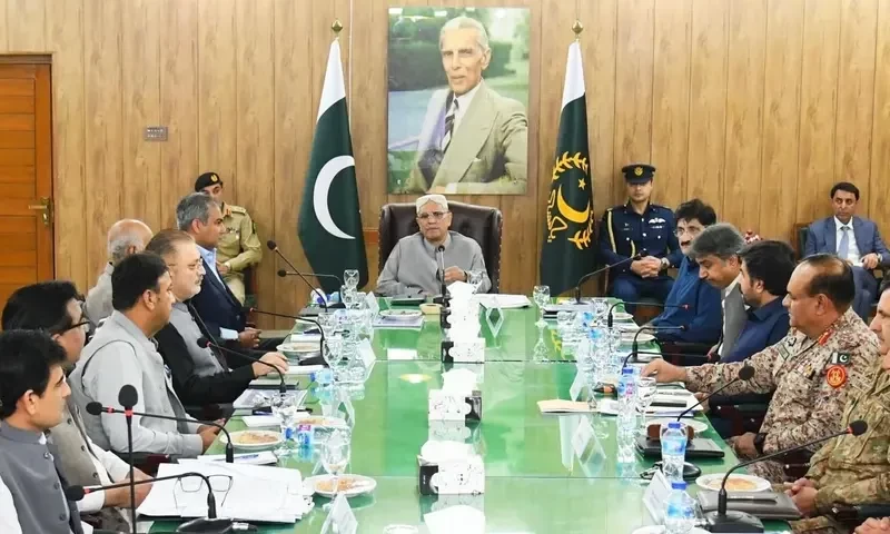 Zardari calls for bringing riverine dacoits, who lay down arms, into mainstream