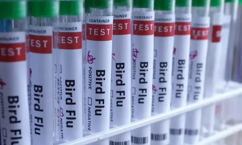 Finland to start bird flu vaccinations for humans, in world first