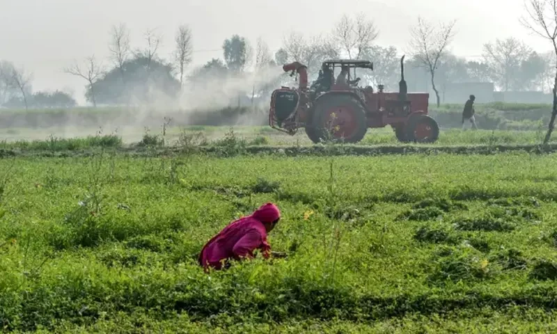 Who is eligible for Kissan Card?