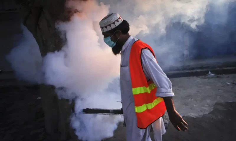 Islamabad authorities ordered &lsquo;strict&rsquo; implementation of anti-dengue plan