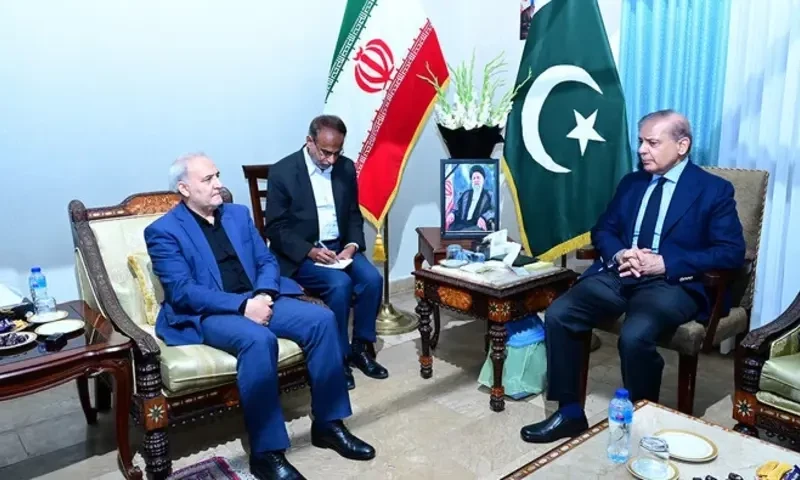 Iranian ambassador condemns US resolution against Pakistan&rsquo;s elections