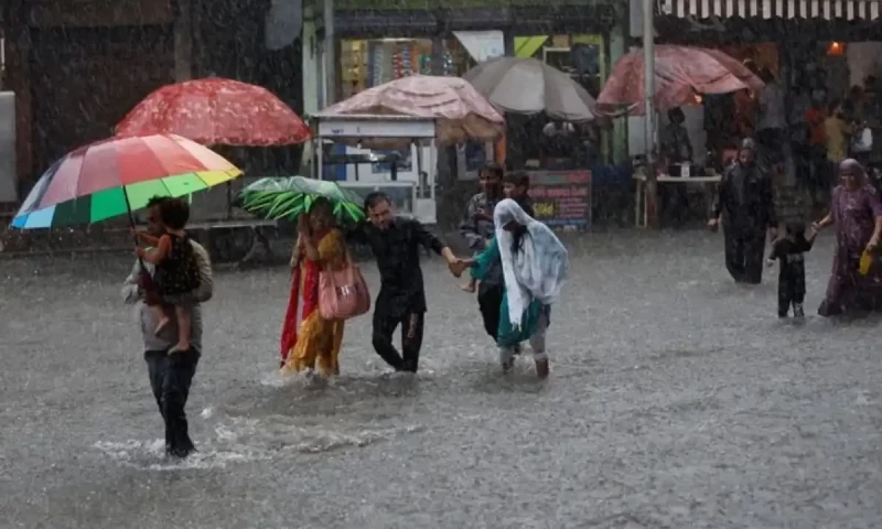These cities could receive rain over next 24 hours