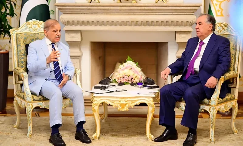 In meeting with Tajik president, PM highlights potential for investment in Pakistan