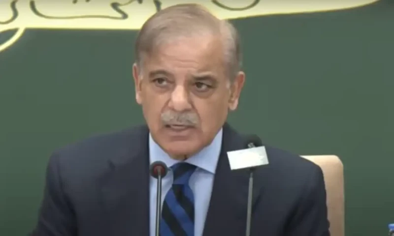 Govt to give relief to people using less than 200 units for 3 months: PM Shehbaz