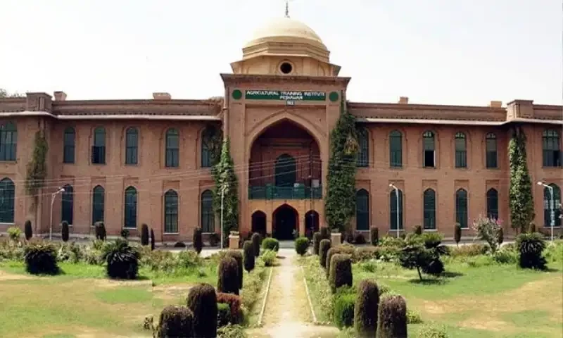 Committee mulls closing 14 universities in KP over poor performance, financial crisis