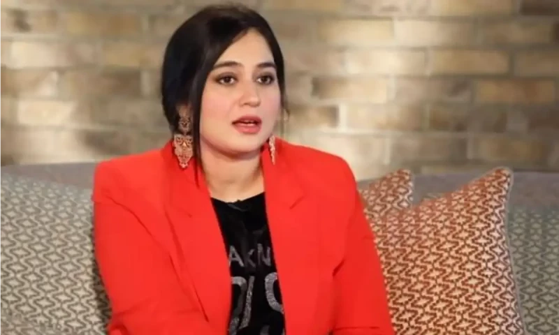 Ayesha Jahanzeb&rsquo;s husband arrested after domestic violence complaint