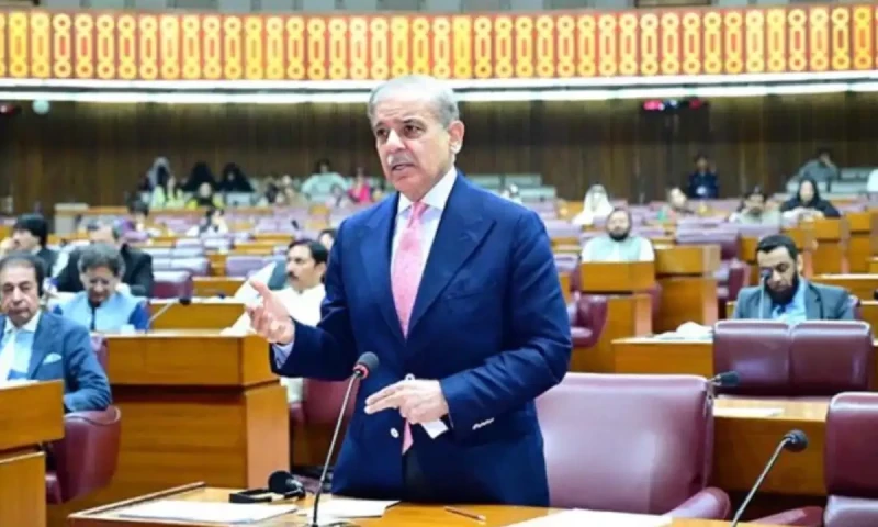 No decision on wheat export: PM Shehbaz tells NA