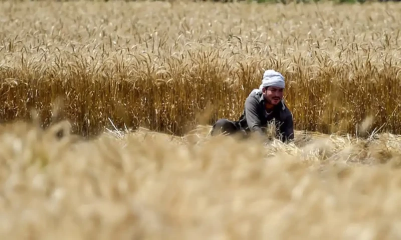 IMF suggests Pakistan to impose 45% tax on agriculture income: report