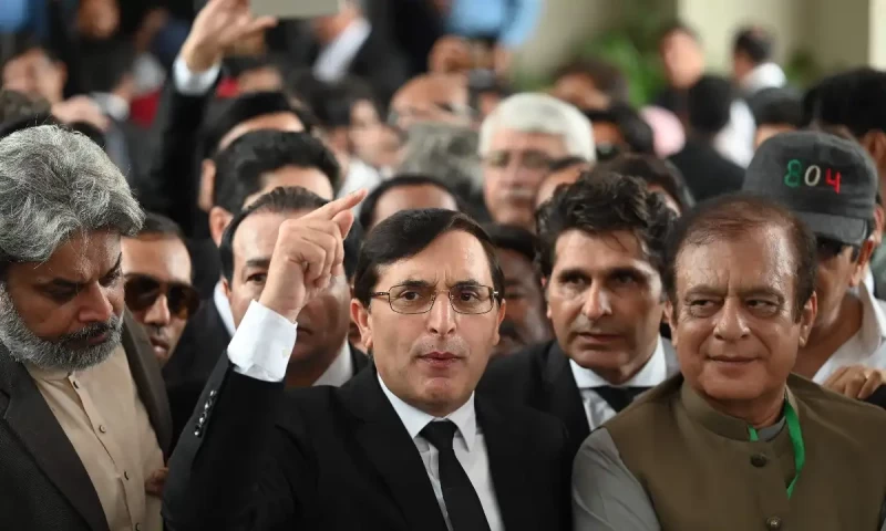 Gohar hails &lsquo;historic&rsquo; decision, says path to constitutional amendment blocked