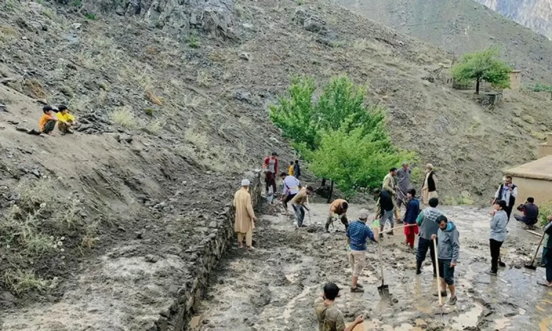 Heavy rains kill at least 35 in eastern Afghanistan: official