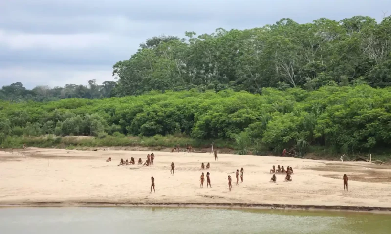 Uncontacted tribe sighted in Peruvian Amazon where loggers are active