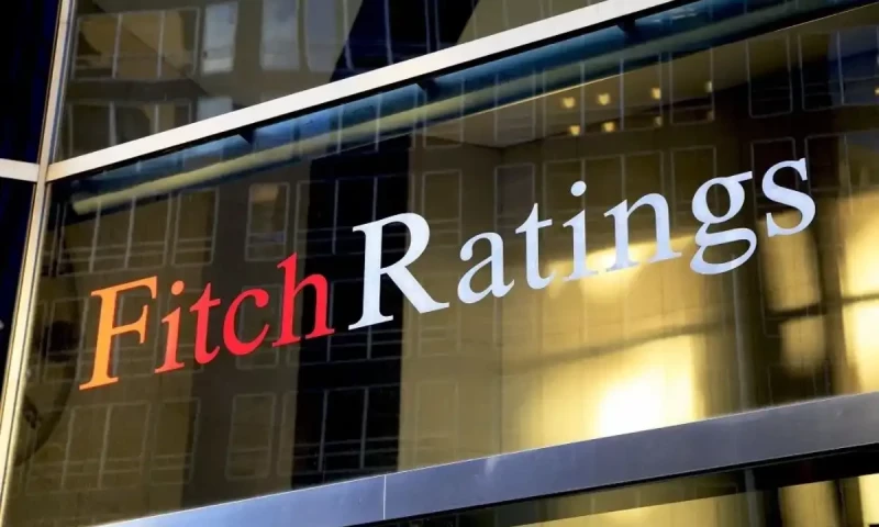 How did Fitch make its prediction about a technocrat set up?