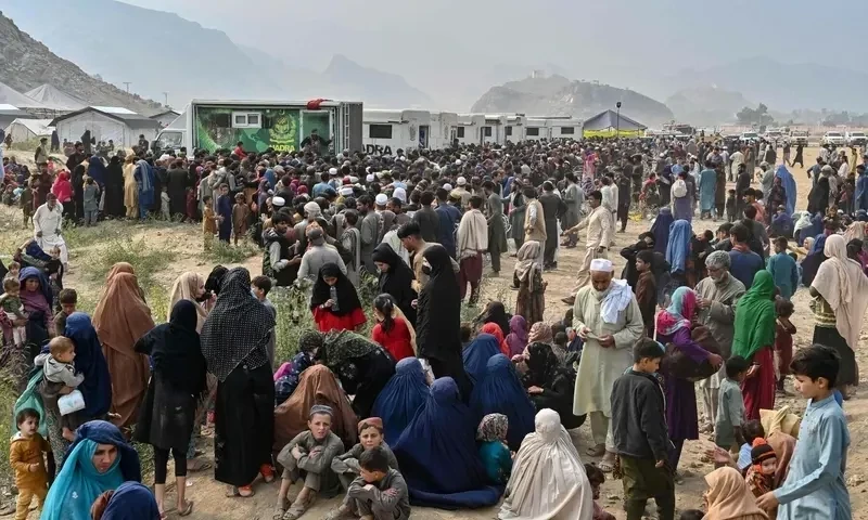 Around 2.9m Afghans reside in Pakistan: report