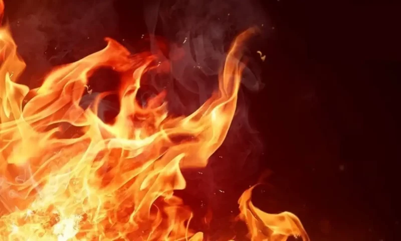 Alipur man burned alive over land dispute