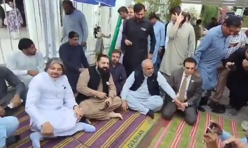 PTI to stage daily hunger strike outside Parliament against &lsquo;injustice&rsquo;