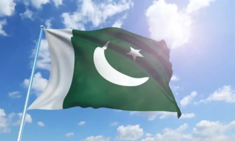 Federal cabinet launches &lsquo;Hurmat-e-Parcham&rsquo; campaign picture