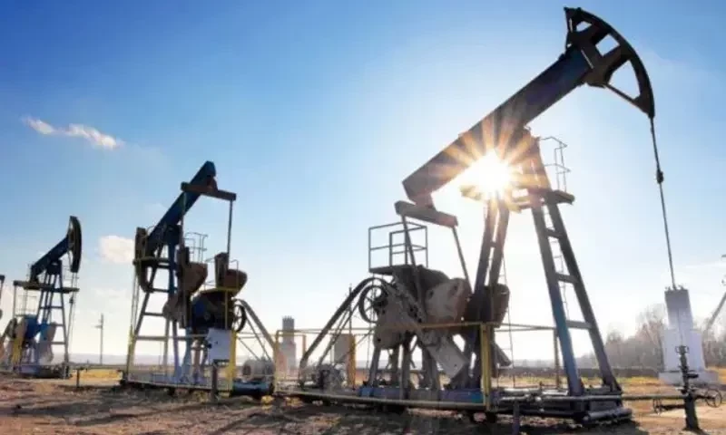 New oil, gas reverses found in KP