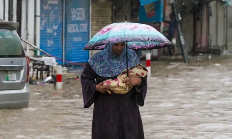 Lahore rain breaks 44-year record, hundreds of feeders trip