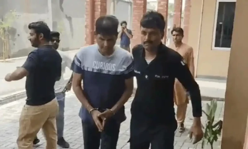 PTI&rsquo;s social media coordinator Janjua granted bail