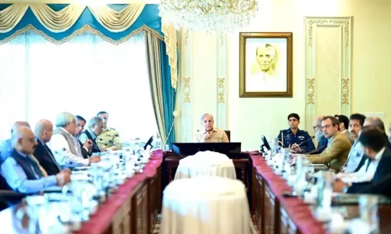 Government develops five-year economic recovery plan