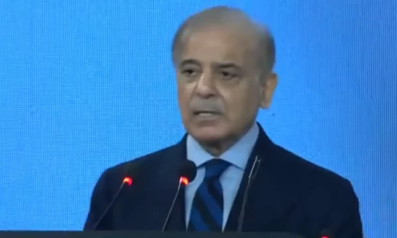 PM Shehbaz announces constitution of committee to revive Pakistan&rsquo;s sports glory