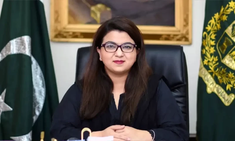 Govt updating existing web management system to firewall: Khawaja says