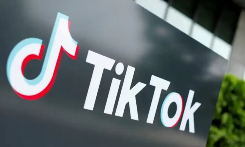 Man jailed in Karachi for circulating explicit photos of TikTok star