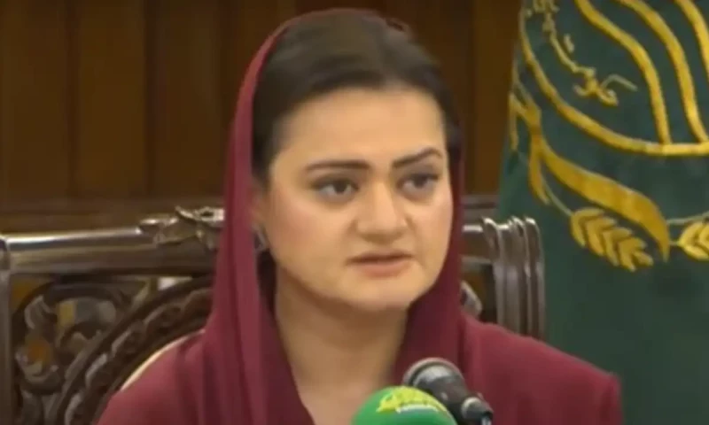 Punjab government to fund power tariff cut from provincial budget
