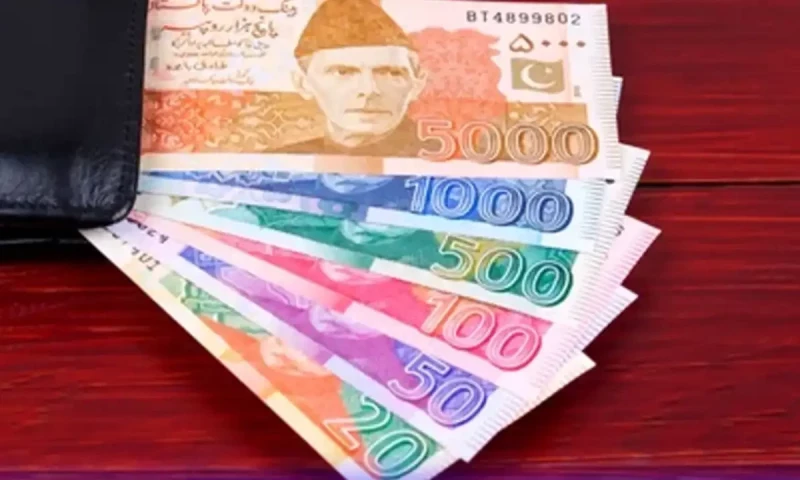 SBP working to introduce plastic currency notes, Senate committee told
