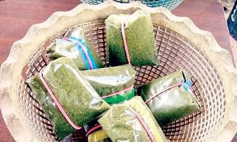 Toxic chemicals detected in popular naswar, study says