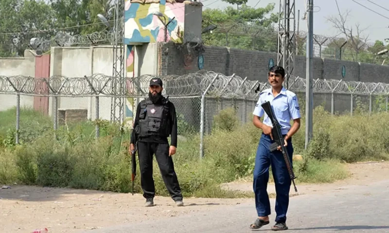 Peshawar bans kite, pigeon flying near PAF Base for six months
