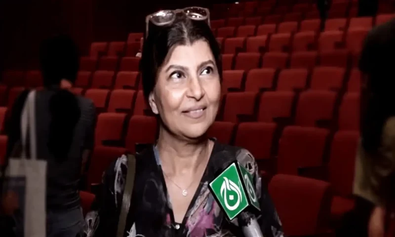 Rubina Ashraf calls for change in themes of Pakistani dramas