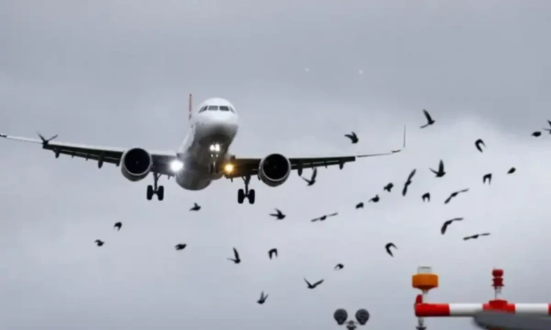 Lahore to Karachi flight returns in 15 minutes after narrowly avoiding accident