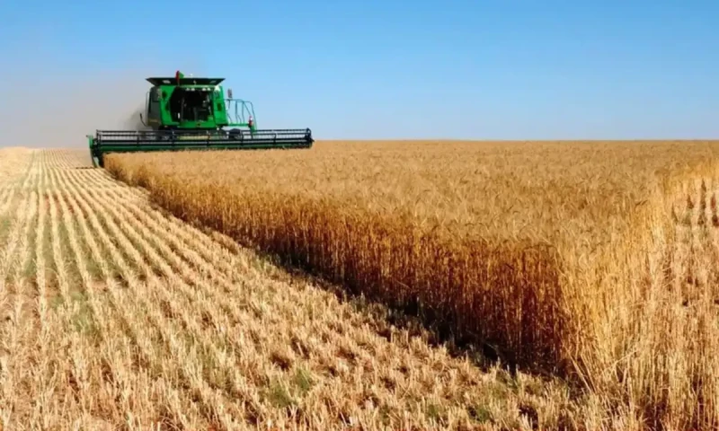 IMF stops government from setting support price for commodities