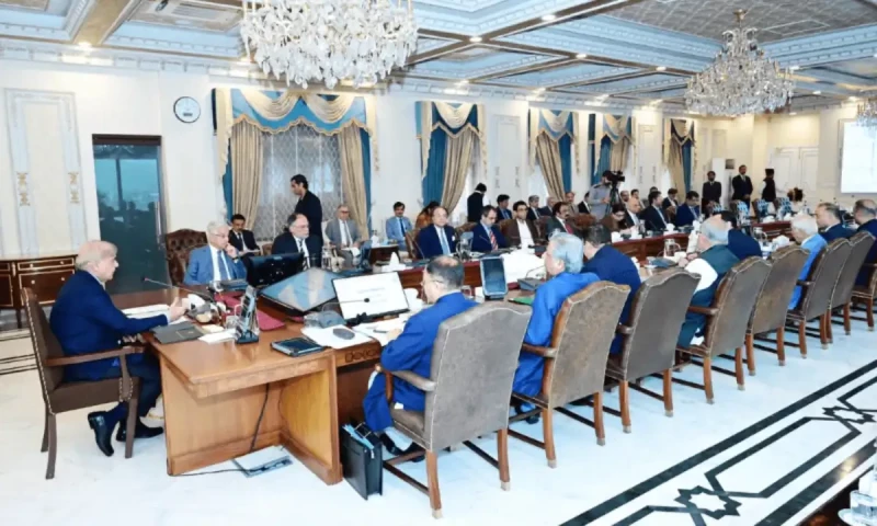 Govt bans hiring, buying vehicles, state-funded medical treatment abroad