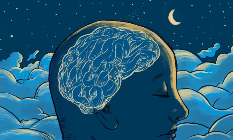 Night owls face nearly 50% higher risk of type 2 diabetes, study finds