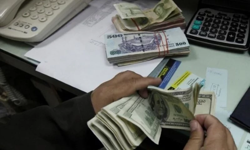 Overseas Pakistanis send nearly $3 billion in remittances in August 2024