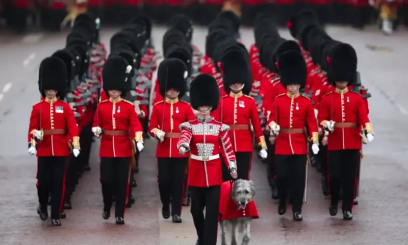 UK military urged to stop using iconic bearskin hats
