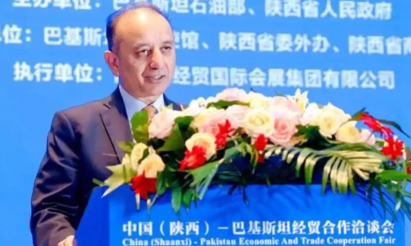 Govt invites Chinese firms to invest in Pakistan&rsquo;s energy, petroleum sectors