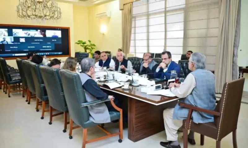 Deputy PM Dar vows to address governance issue in DISCOs