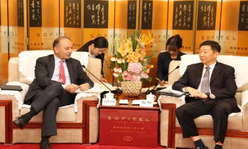 Petroleum minister seeks to strengthen energy partnerships with Chinese companies