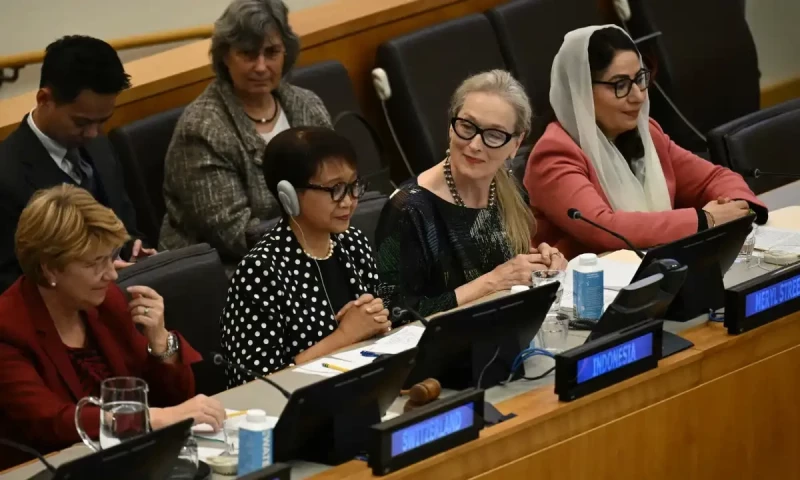 Meryl Streep says a &lsquo;squirrel has more rights&rsquo; than an Afghan girl
