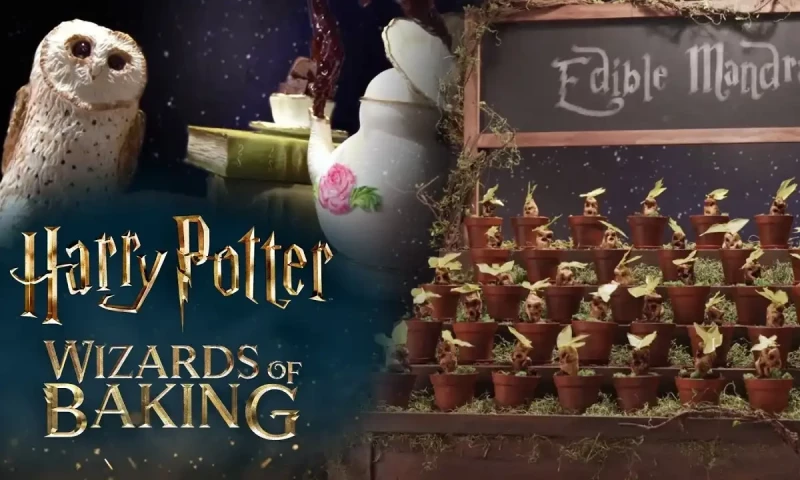 Fred and George Weasley to host &lsquo;Harry Potter: Wizards of Baking&rsquo; show