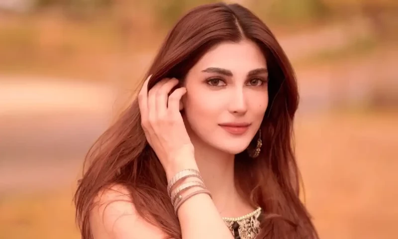 Nazish Jahangir&rsquo;s bail plea denied amid fraud allegations